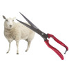 Набор для стрижки и сада: ножницы FEEl Long Wool Shears + перчатки с когтями