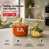 Набор стеклянных кастрюль для всех видов плит 3,2+1,8 литра.