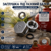 Заглушка под газовый баллон с уплотнителем, герметична, соответствует ГОСТ 21804-94, давление до 1,6 МПа