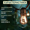 Ретро гирлянда 5 метров уличная светодиодная 10 LED с защитой от влаги