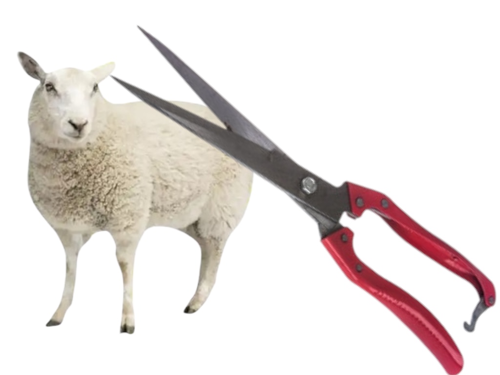 Набор для стрижки и сада: ножницы FEEl Long Wool Shears + перчатки с когтями