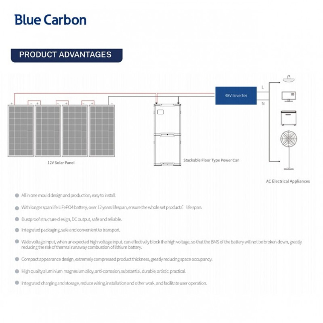 Акумуляторна батарея Blue Carbon LiFePo4 48V 300Ah 15.36kWh BCT-V-48-300